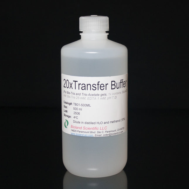 20xTransfer Buffer for Bis-Tris Gels (500 ml)