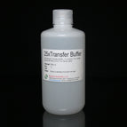 1L Bottle