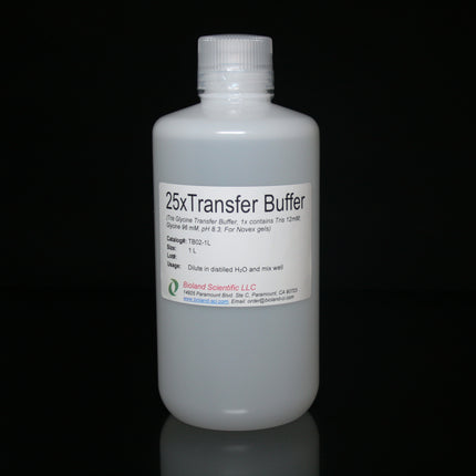 25x Tris Glycine Transfer Buffer (1L)