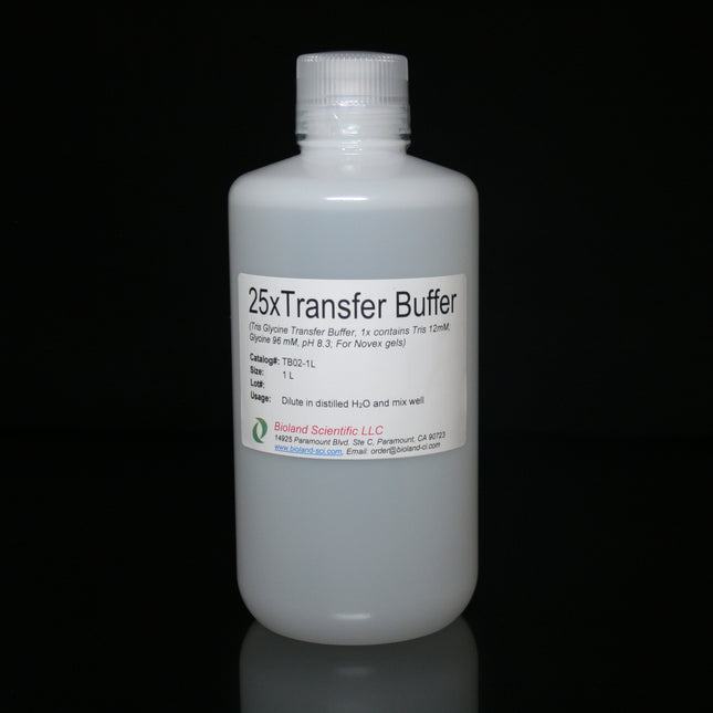 25x Tris Glycine Transfer Buffer (1L)