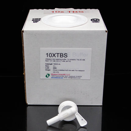10x TBS Buffer (4 L)