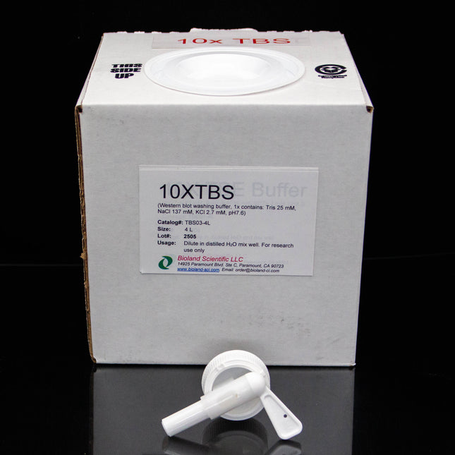 10x TBS Buffer (4 L)