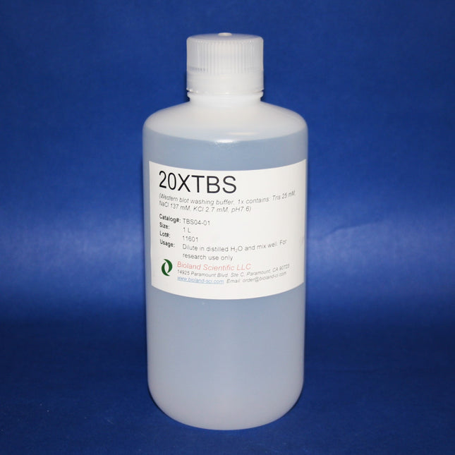 10x TBS Buffer (1 L)