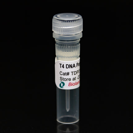 T4 DNA Polymerase (3U/ul, 50ul)