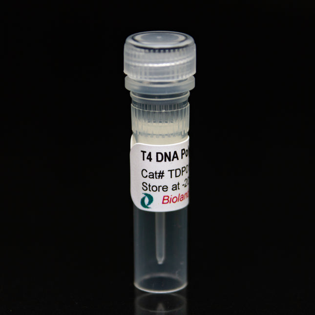 T4 DNA Polymerase (3U/ul, 50ul)