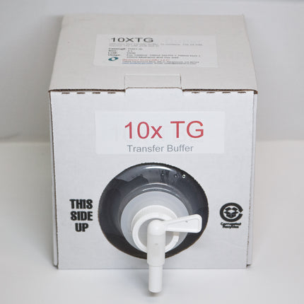 10xTris-Glycine Transfer Buffer (4 L)