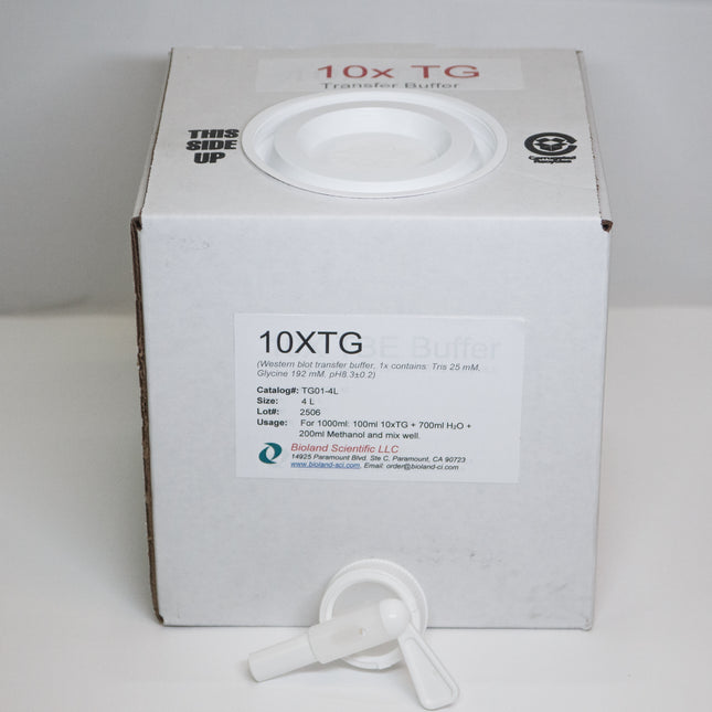 10xTris-Glycine Transfer Buffer (4 L)