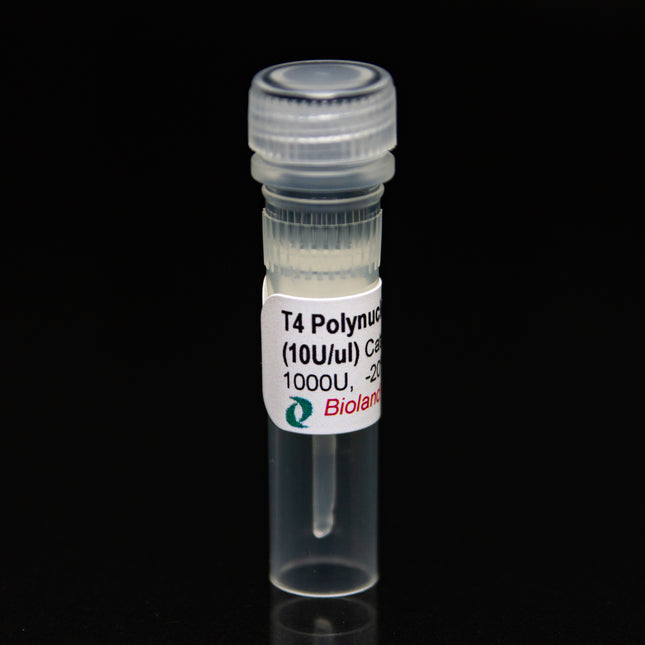 T4 Polynucleotide Kinase (10U/μl, 1000U)
