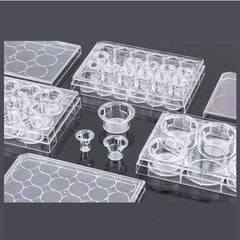 Collection image for: Transwell Membrane Plates for 3D Culture