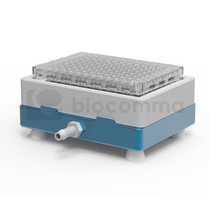 Vacuum Manifolds