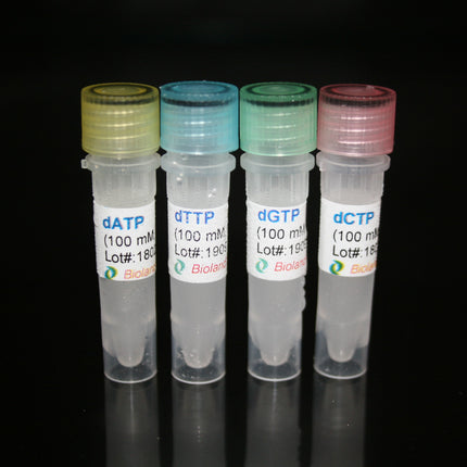 dNTP (100mM), >99% HPLC, 1ml