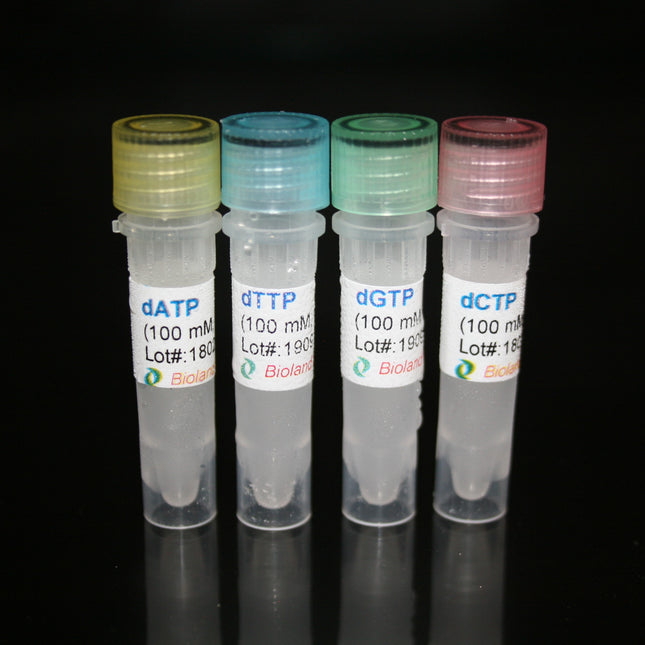 dNTP (100mM), >99% HPLC, 1ml