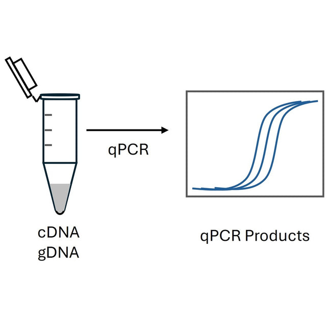 2x Fast qPCR Master Mix (High ROX)