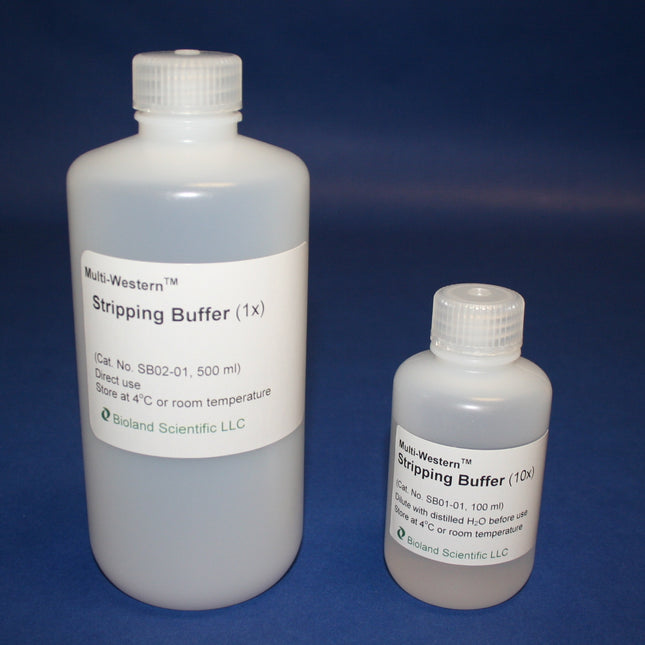 Multi-Western Stripping Buffer (10x, 100 ml)
